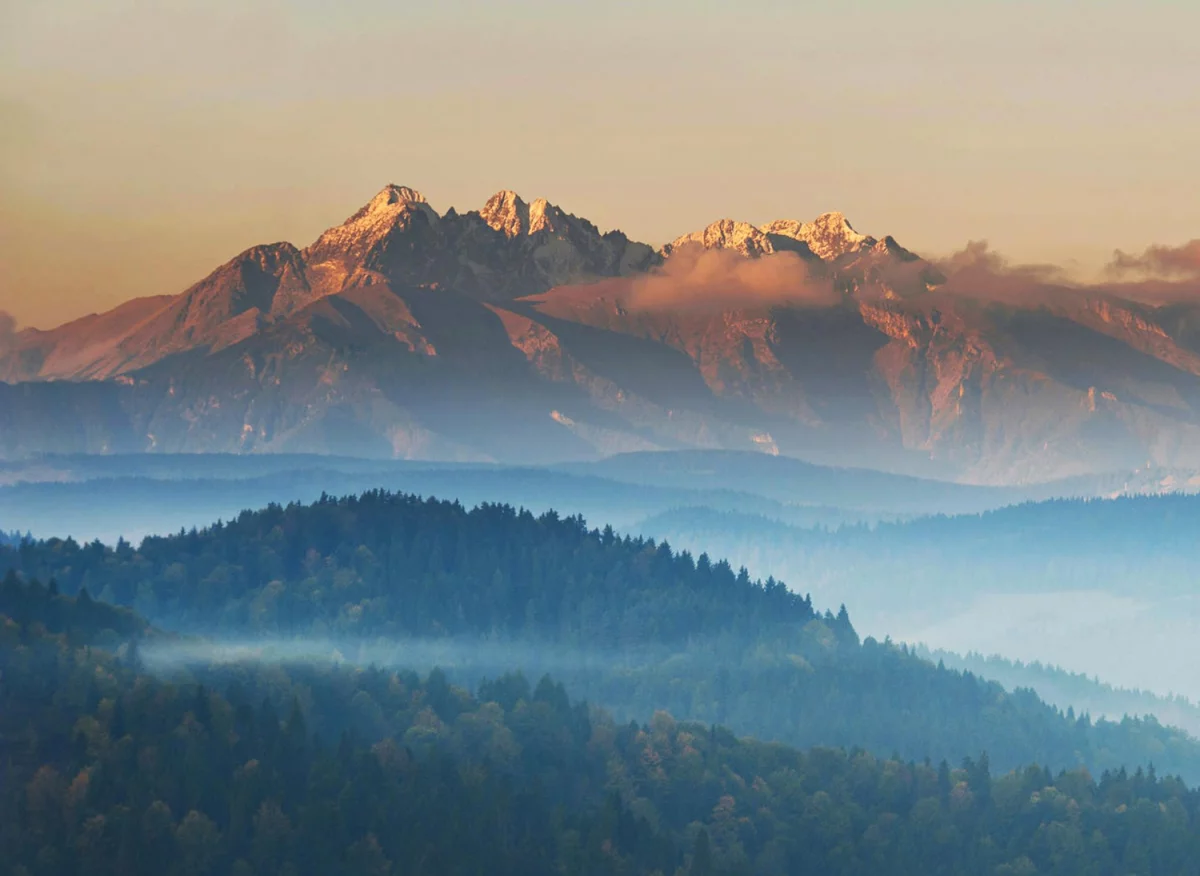 Zobacz czy potrzebujesz prowadzić firmę?