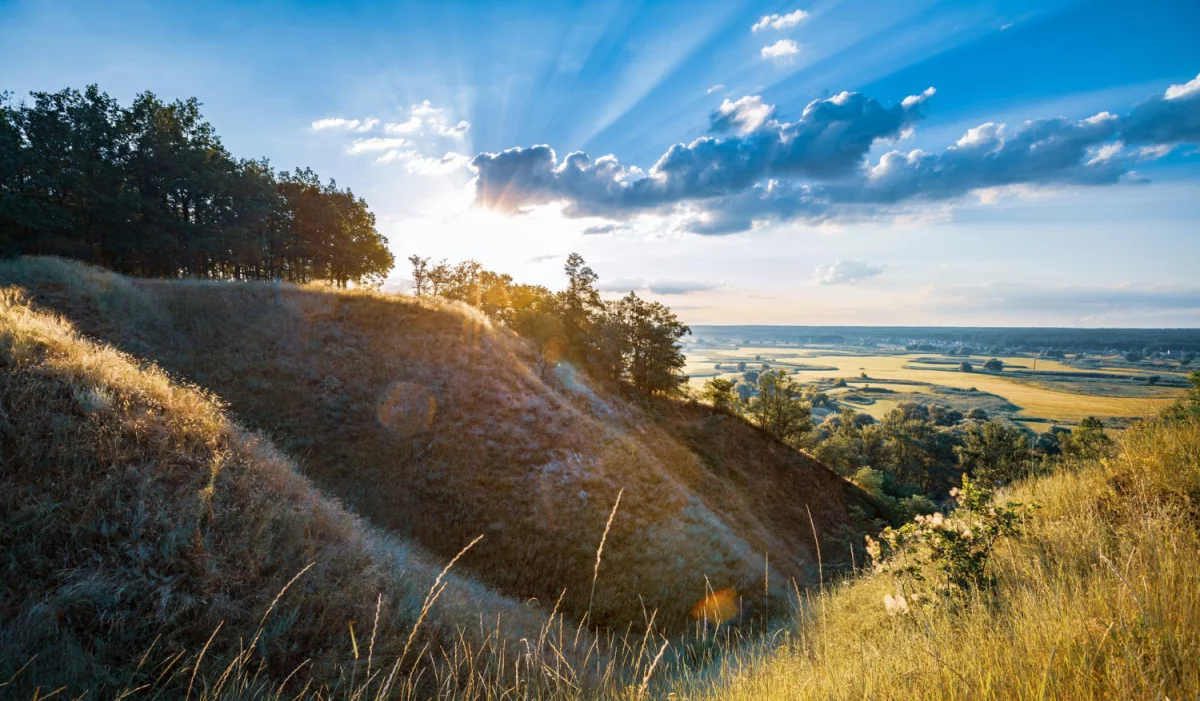 Jak legalnie i tanio postawić domek na działce ROD: przepisy, mały projekt, ogrzewanie, aranżacja i szacunkowe koszty