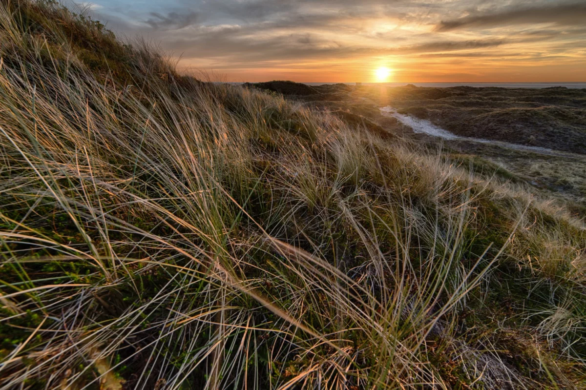 Jak  chronić środowisko - zmiany w 2022