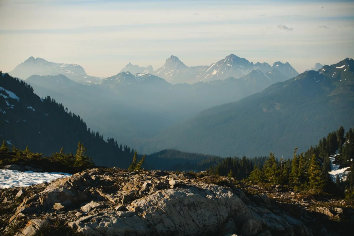Poradnik biznesmena - o pozycjonowaniu