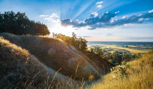 Nowości w 2023 jak  kupić firmę