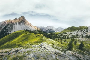 STUDIUM PRZYPADKU Jak prowadzić biznes W 6 Dni?